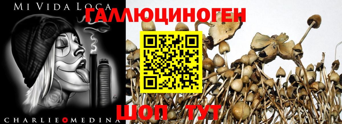Псилоцибиновые грибы мухоморы Нефтекамск