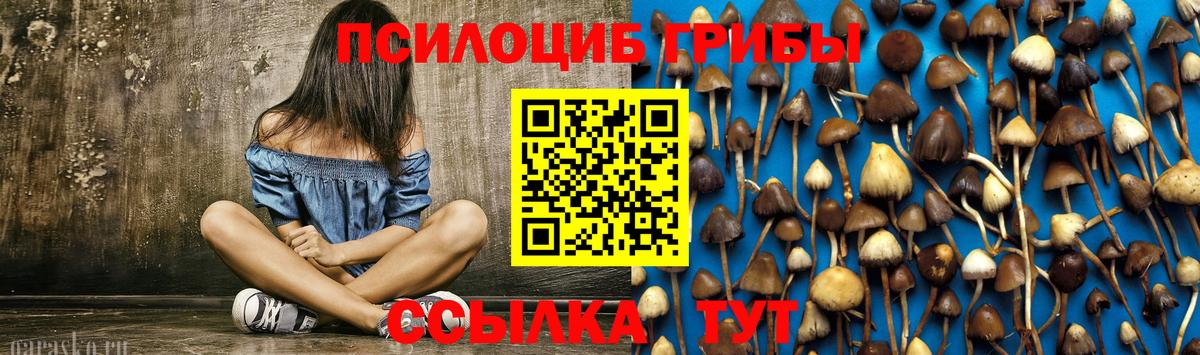 Галлюциногенные грибы GOLDEN TEACHER  магазин    Нефтекамск  Псилоцибиновые грибы Psilocybe  Вход с VPN 